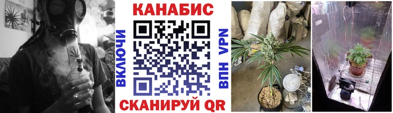 Каннабис MAZAR  Закаменск 